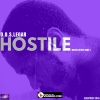 Hostile (Remix Drake-Hype)